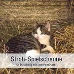 Bio Ferienhof Wichtelweide - Fewo Lavendel