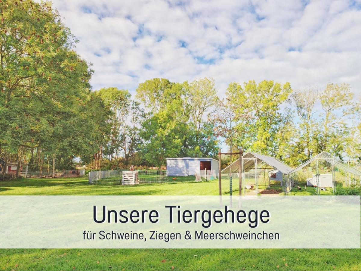Apartment Bio Wichtelweide - Lavendel Fehmarn