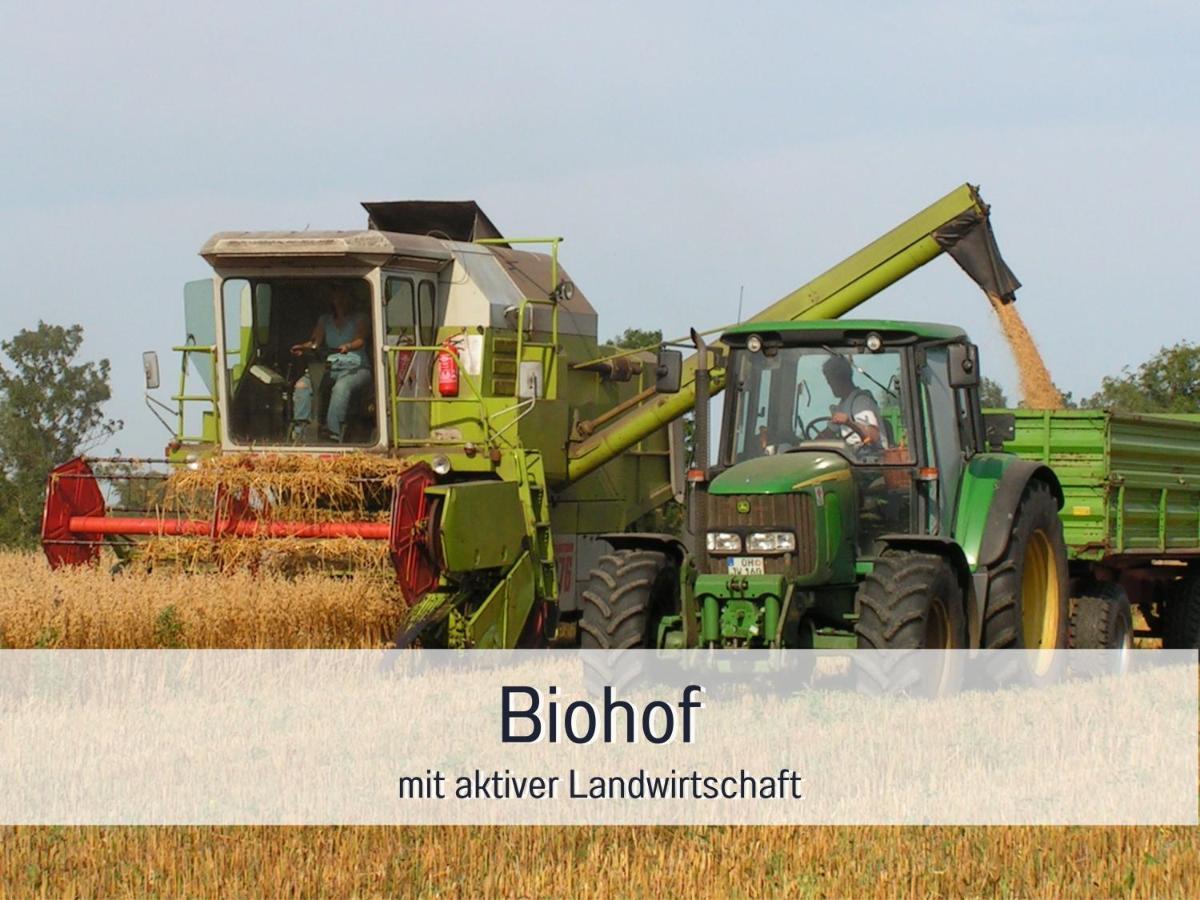 Bio Wichtelweide - Lavendel Apartment