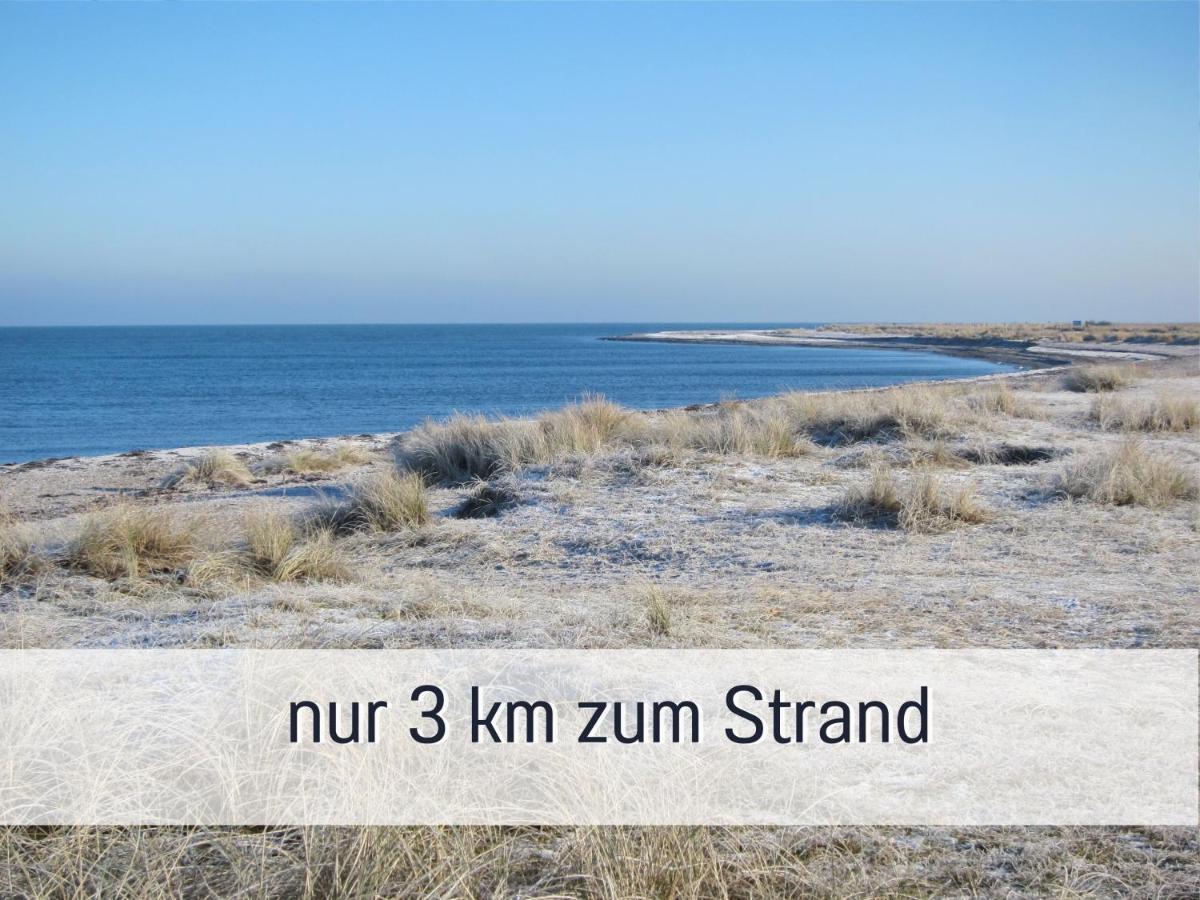 Bio Wichtelweide - Lavendel * Fehmarn