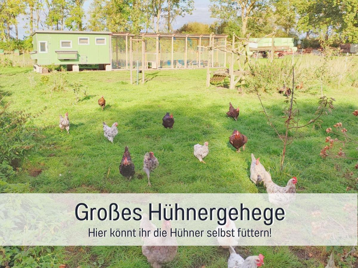 Apartment Bio Wichtelweide - Lavendel *