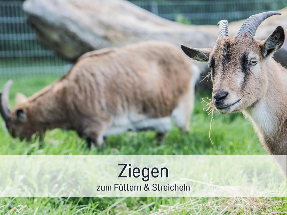 Apartment Bio Wichtelweide - Lavendel Fehmarn