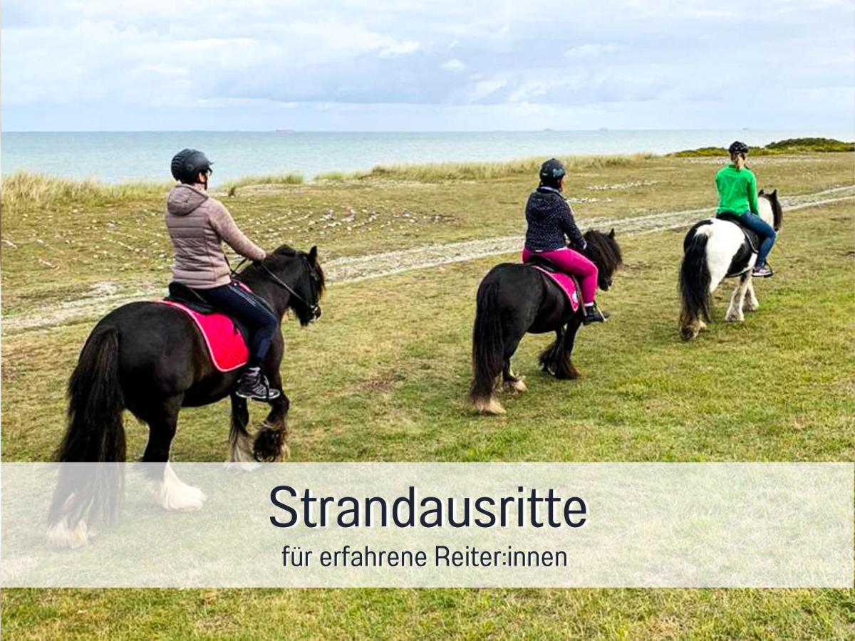 Bio Wichtelweide - Lavendel Fehmarn