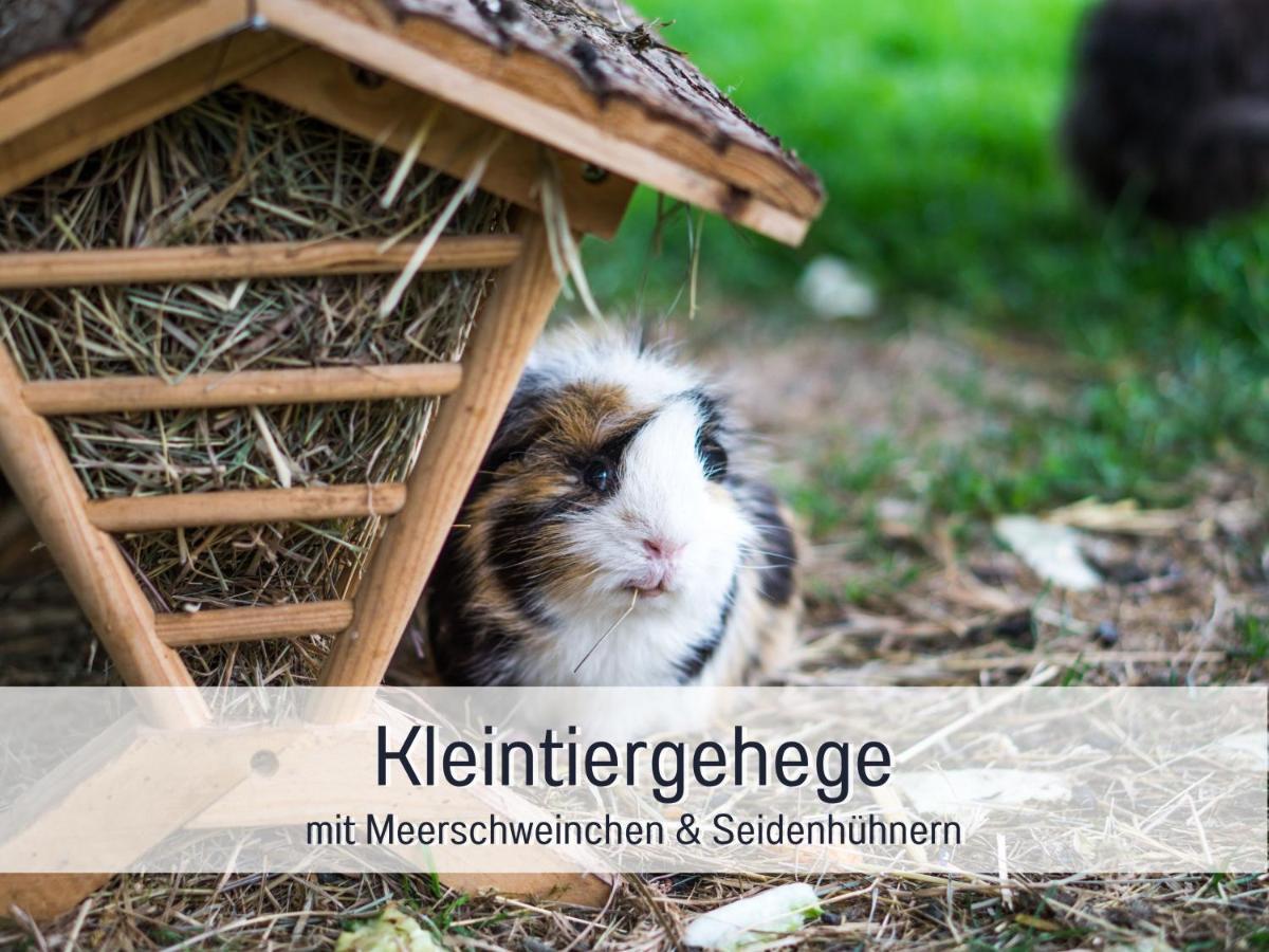 Bio Wichtelweide - Lavendel Fehmarn
