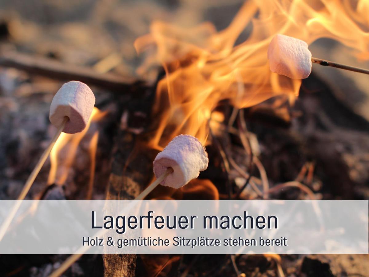 Bio Wichtelweide - Lavendel *