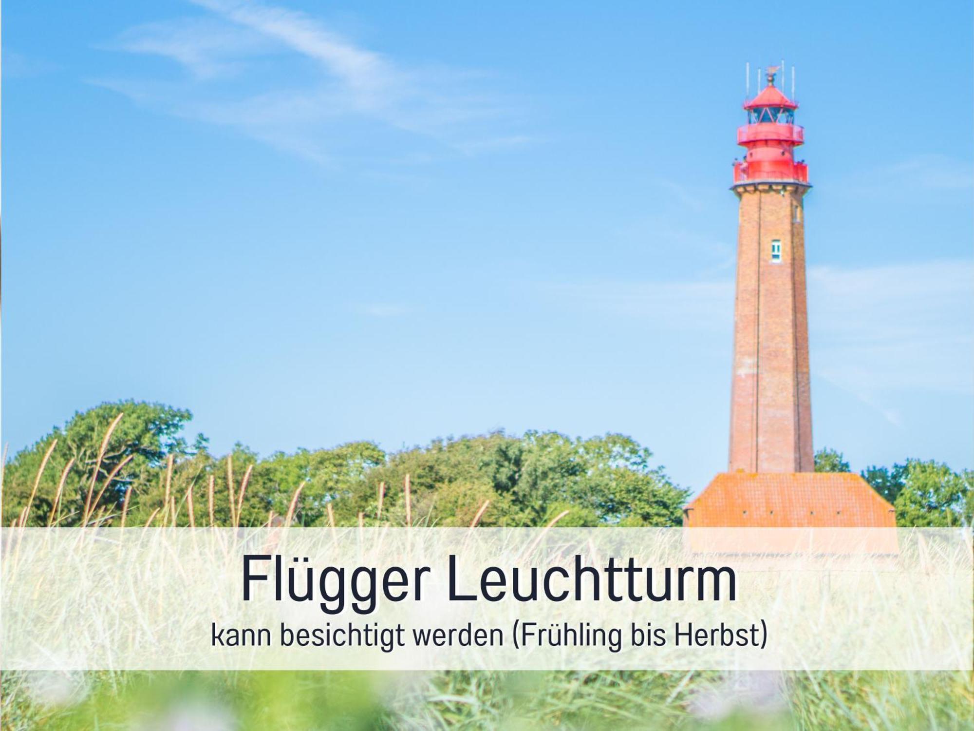 Bio Wichtelweide - Lavendel