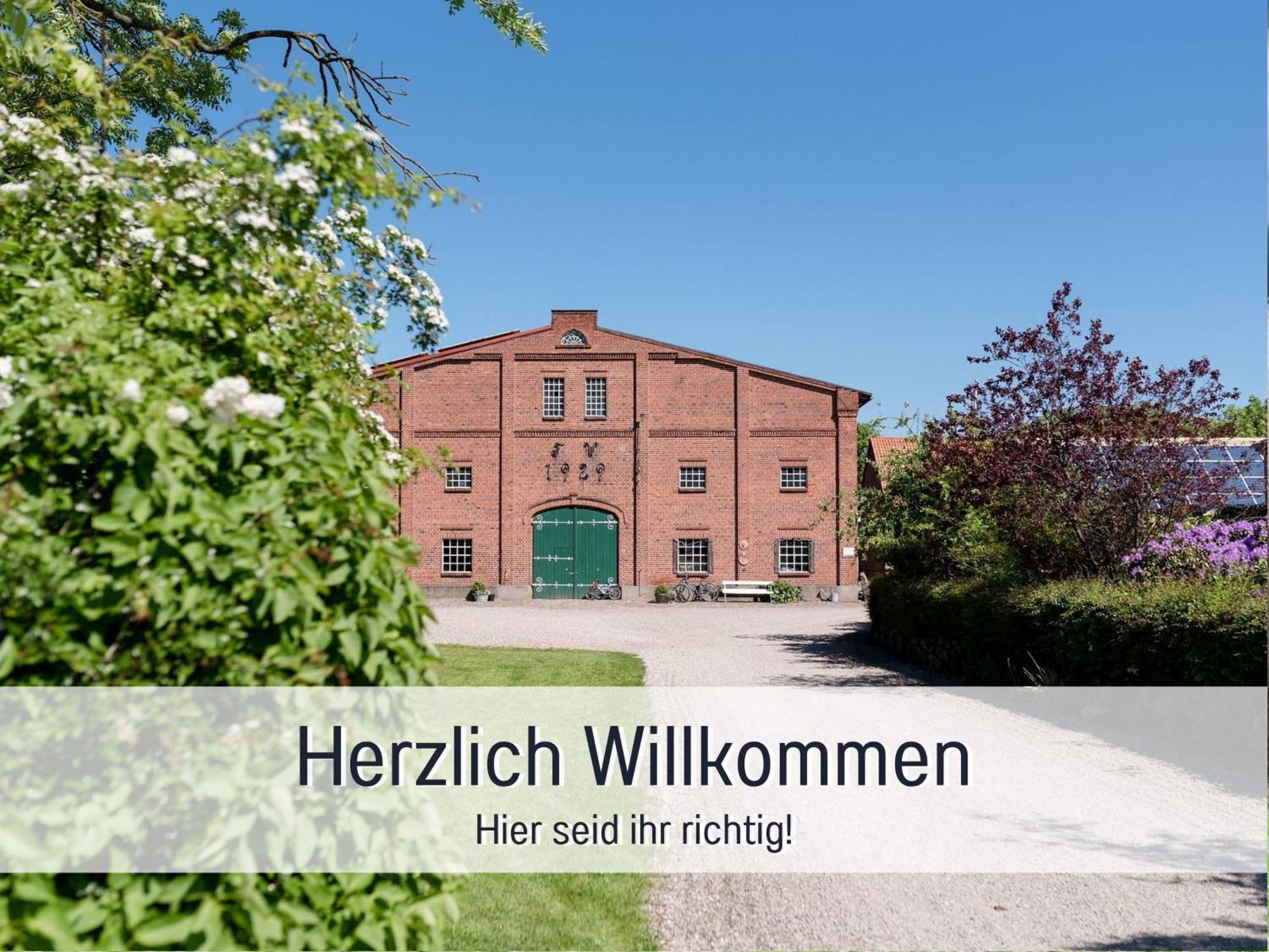 Bio Wichtelweide - Lavendel *